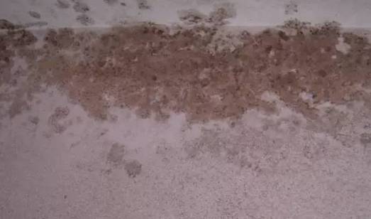 膩子常見問題總匯